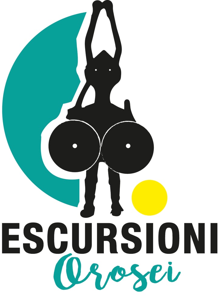 Logo orojanas