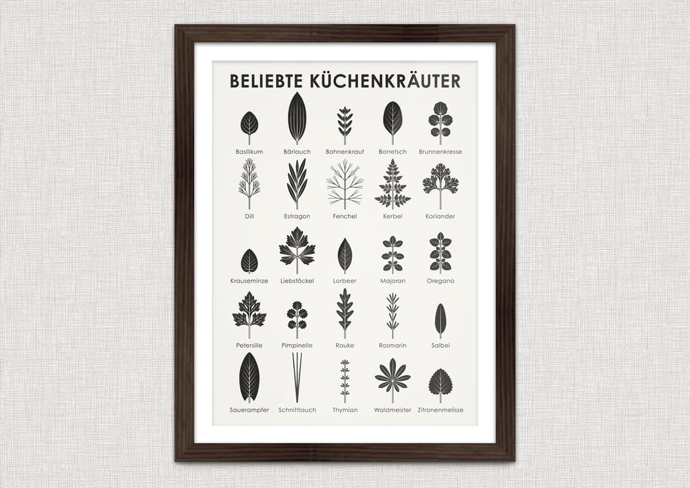 Schautafel Beliebte Küchenkräuter