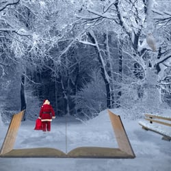 Weihnachtlicher Waldspaziergang
