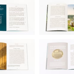 Magazin – FELD Ausgabe 01 | 2018 5
