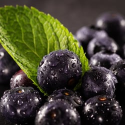 marion-appel-fotografie-food 34