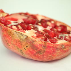 Granatapfel November 2012