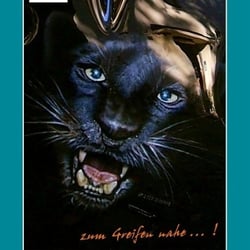 Bikedesign  >>> PANTHERA <<<