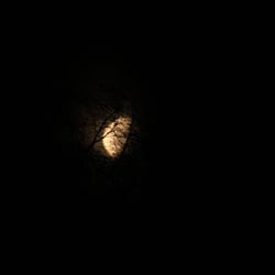 The Moon 2013 by Dina. T