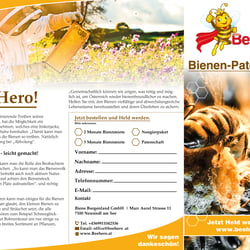 Bienenheld Flyer