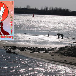 Ebbe im Yachthaven