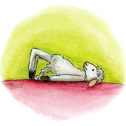 Yogaschaf 3