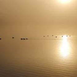 DSCN3643a