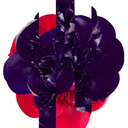 COMME des GARÇONS