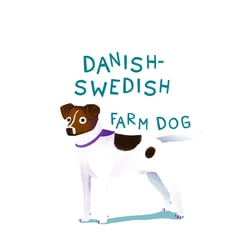 Danish Swedish Farm Dog