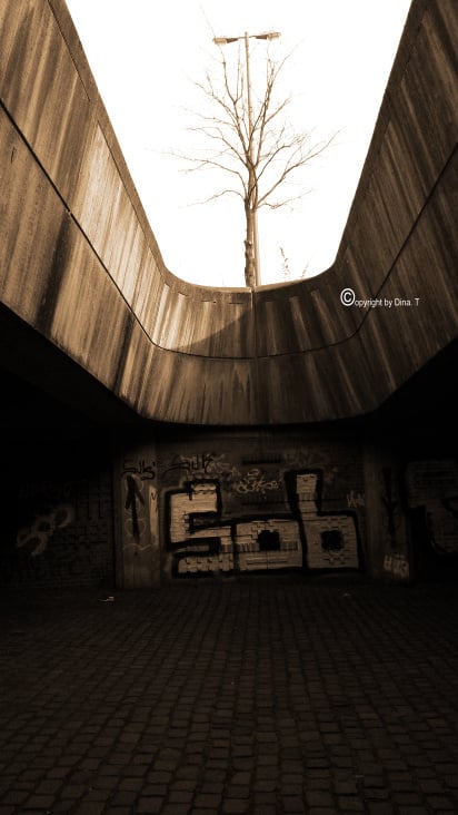 Ipressions – FEBRUARY and MARCH 2014 Übungen
