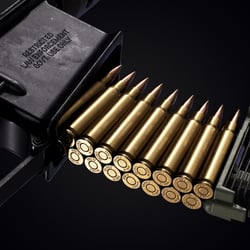 Zm Lr-300