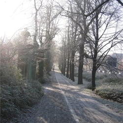 Random Winter Picture in Hamburg