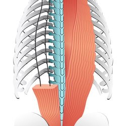 Medical 2