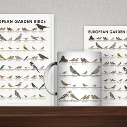 Identification Chart European Garden Birds