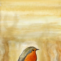 Robin