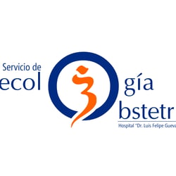 Logo Gynekologie – Obsterie fuer lokales Krankenhaus in Venezuela