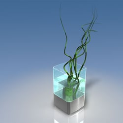portfolio 3D 02 Kopie