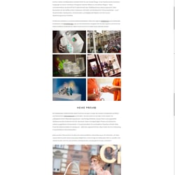 web screenshot