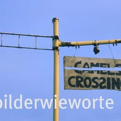 Tanke21 Kopie