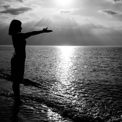 Catch the sun