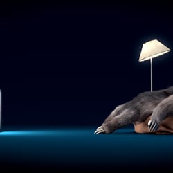 Seven Deadly Sins – Sloth