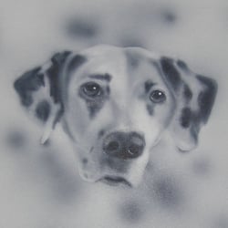 DSCN3151
