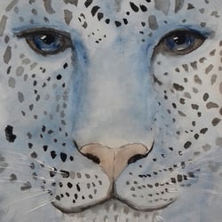 Die Leopardin, Aquarell