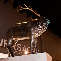Der 3-Meter-Hirsch 6