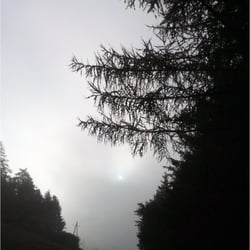 Überlandfahrt im Nebel