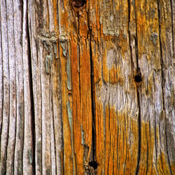 Wood