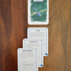 Dragonfly Cards