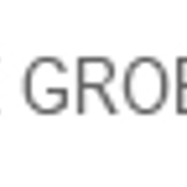 Elke Grober