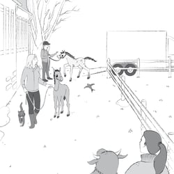 Illustration innen