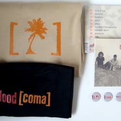 Corporate Design – Alternative Band „Foodcoma“ – Gesamtgestaltung