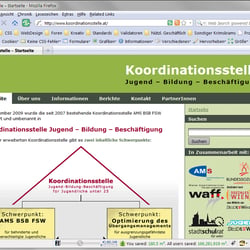 Screenshot Koordinationsstelle