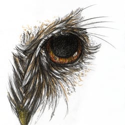 Kohle, Buntstifte