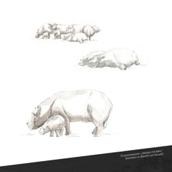 R.Reudenbach Portfolio Illustration 14