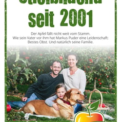 puder 7