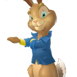 Metro Hase