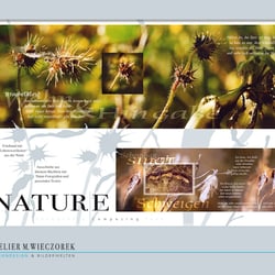 Bild & Kalender 3