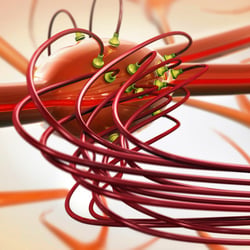 Synapse