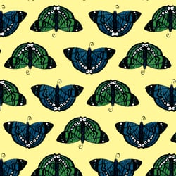 schmetterling