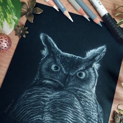Zeichnung einer Eule mit weißem Polychromos