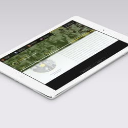 Adenauer Mockup 4