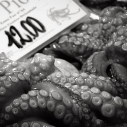 Rialto Markt – Details