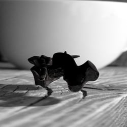 cup on wood