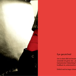 Portfolio23