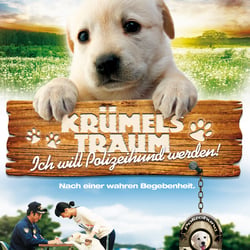 PDD FINAL Kopie