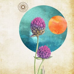Clover Moon